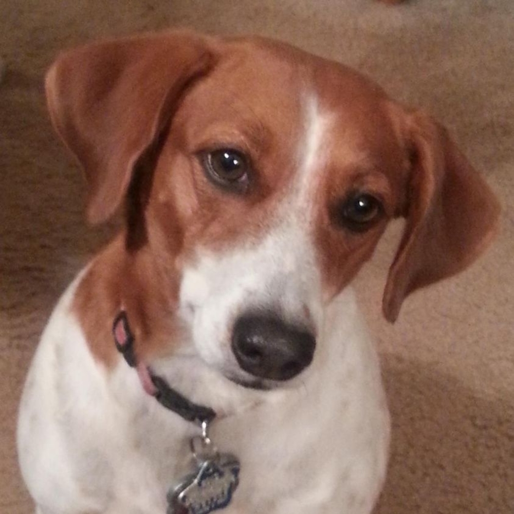 Meet your Posher, Madeline